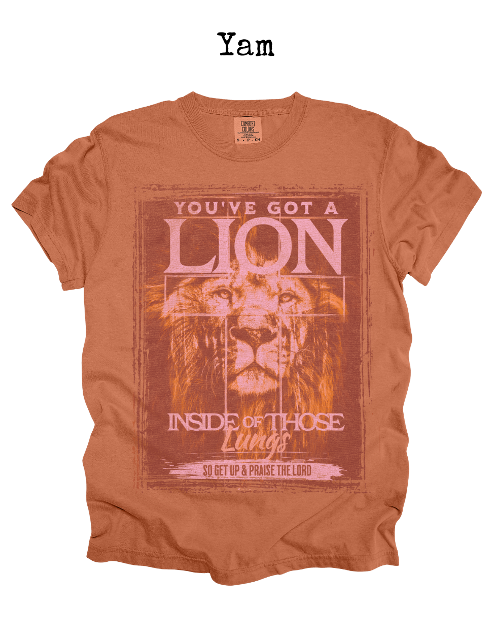Lion Distressed Graphic Tee